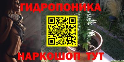 альфа пвп Аргун