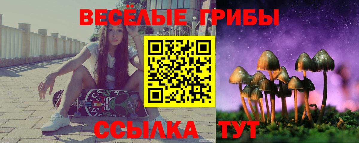 Псилоцибиновые грибы ЛСД  цена   Верхний Уфалей  Вход с VPN 